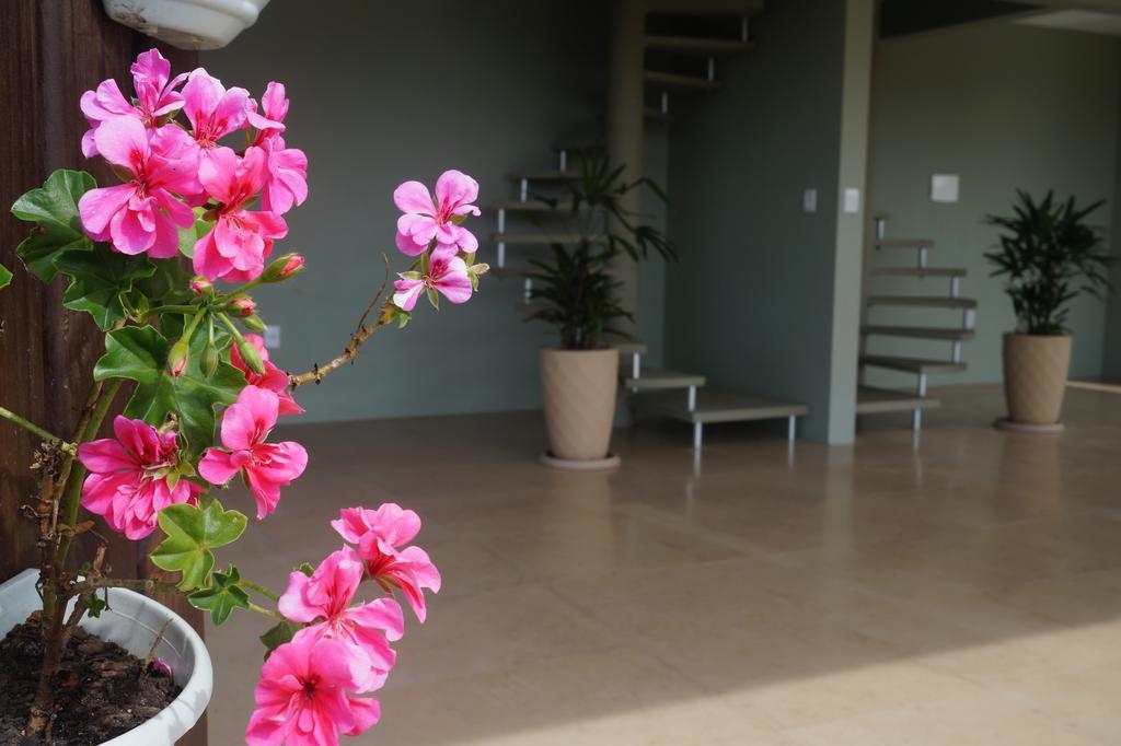 Pdr Suites Praia do Rosa Exterior photo